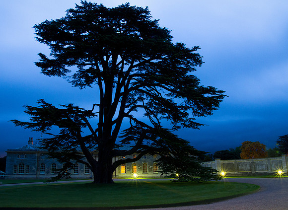 Woburn-650